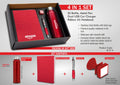 Ribbon PU Ensemble | 4-Pc A5 Notebook, Pen & Accessory set